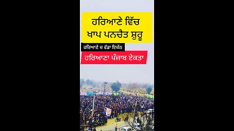 ਹਰਿਆਣੇ ਵਿੱਚ ਖਾਪ ਪਨਚੈਤ ਸ਼ੁਰੂ #reelsvideo #reelsfacebook #ਅੰਦੋਲਨ #KisanMorcha #ਟਰੈਕਟਰ #reel #reels