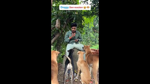 dog ki funny video