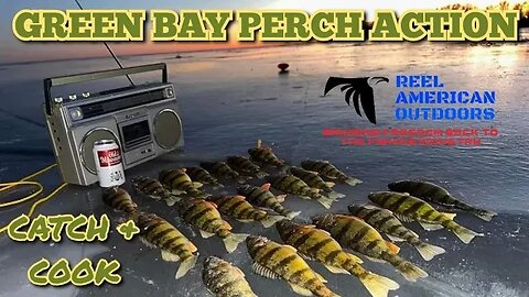 Green Bay Perch ICE BEAT DOWN (BONUS CATCH & COOK)