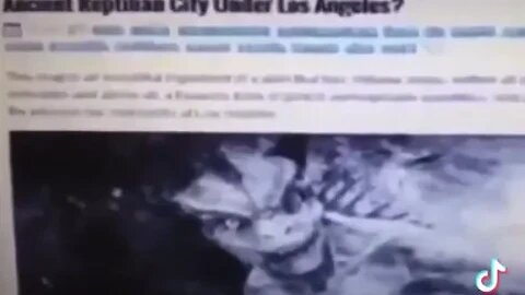 Reptilians in LA