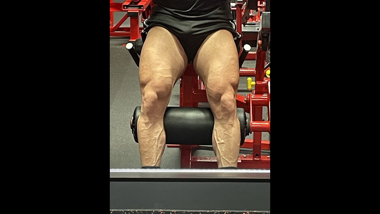 Leg Day