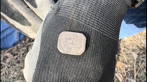 The Penny Weight Metal Detecting