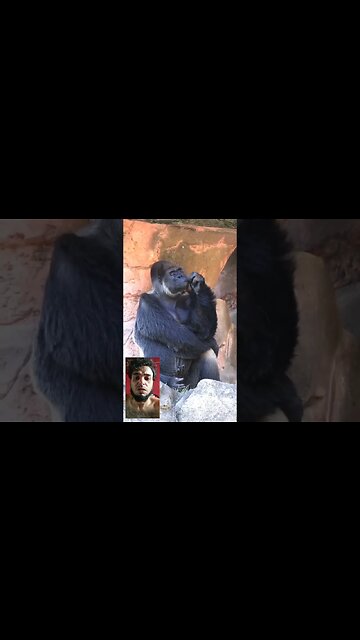 Humanos no limite da ESTUPIDEZ #2 😅😅😂😂😂🤣