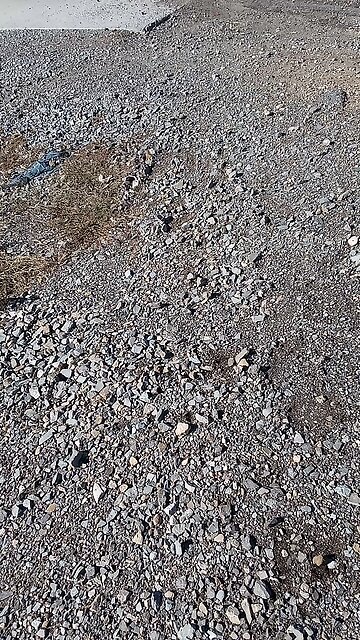 Repent And Wakeup You Sleepyheads November 11, 2024!!!