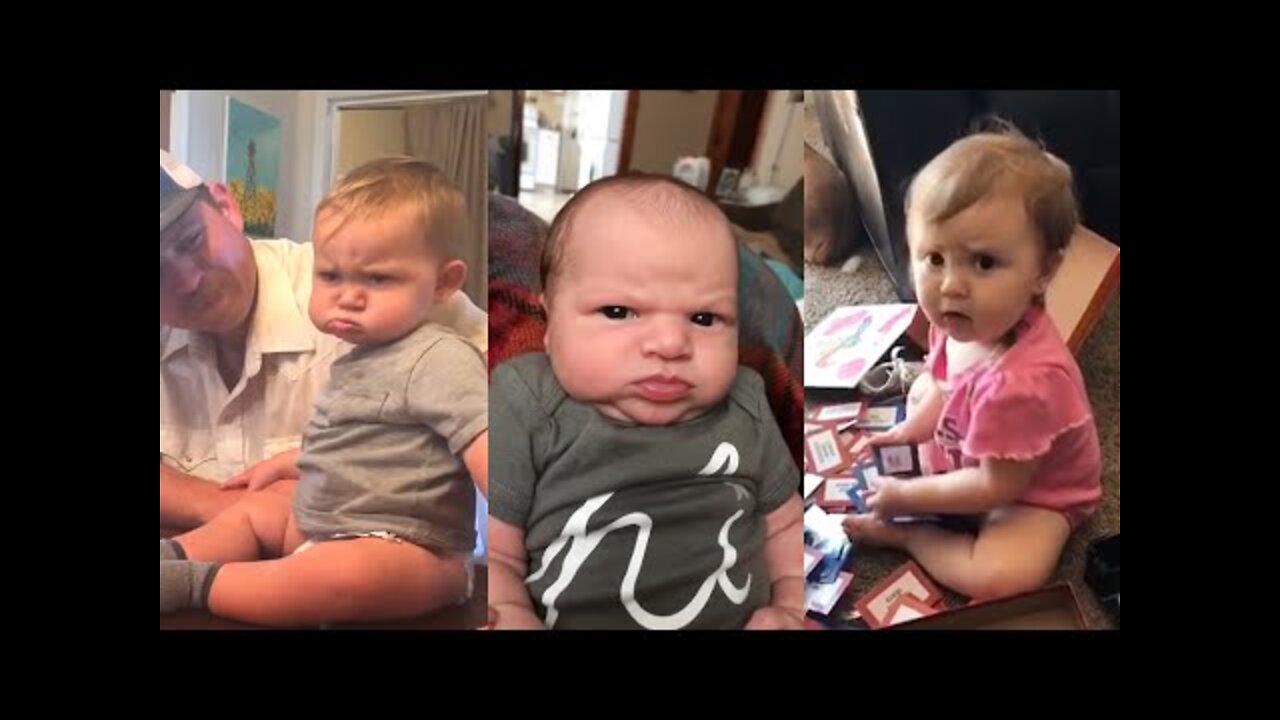 Try Not To Laugh Funny Angry Babies