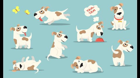 dog running