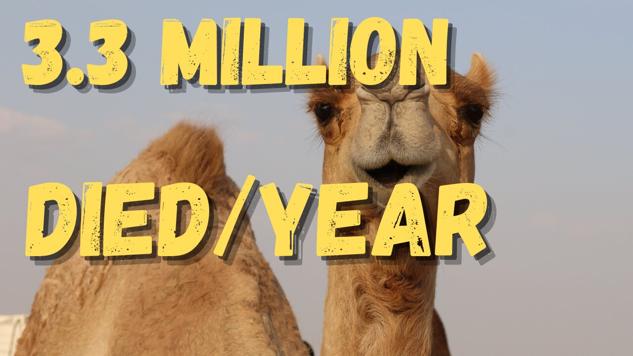 Quick Facts About Camel