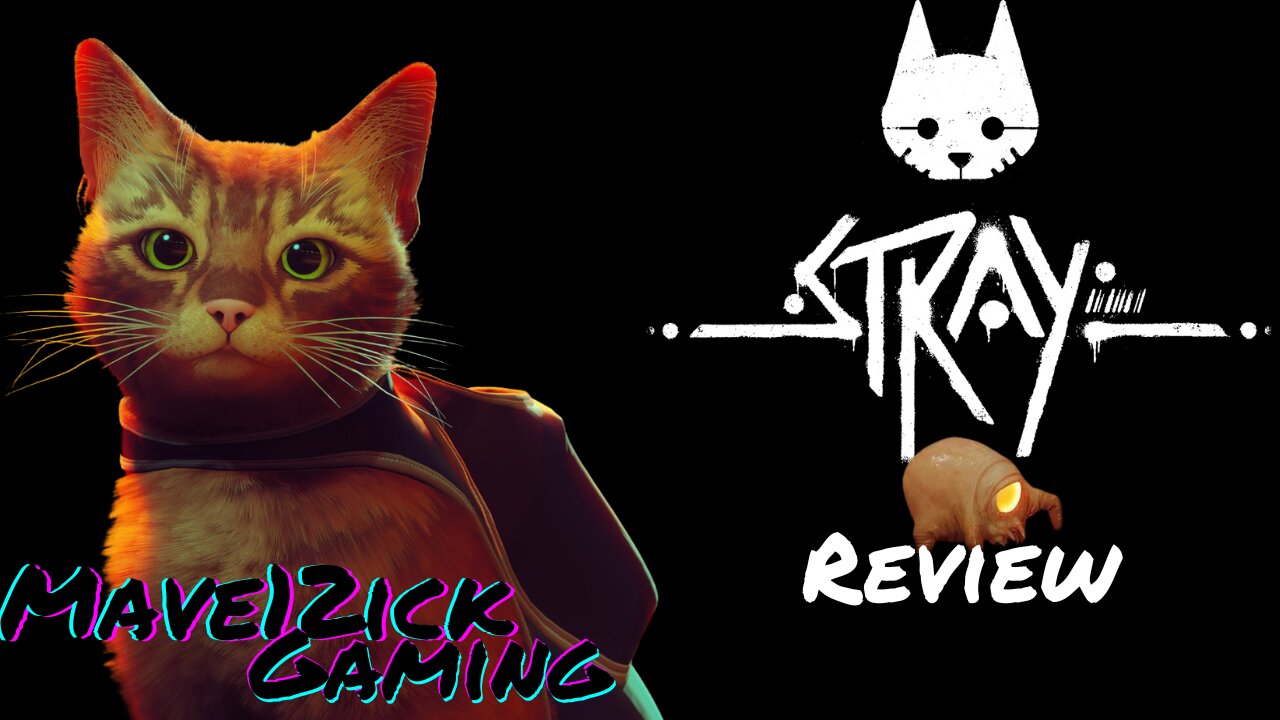 Stray Review!