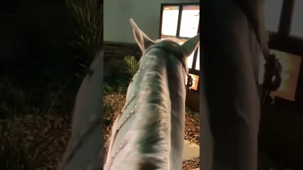 I wouldn’t mind this at all 😍 Video By livingwithjessica #Shorts