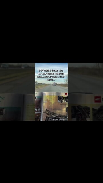 😳 I Found LEGO While Driving