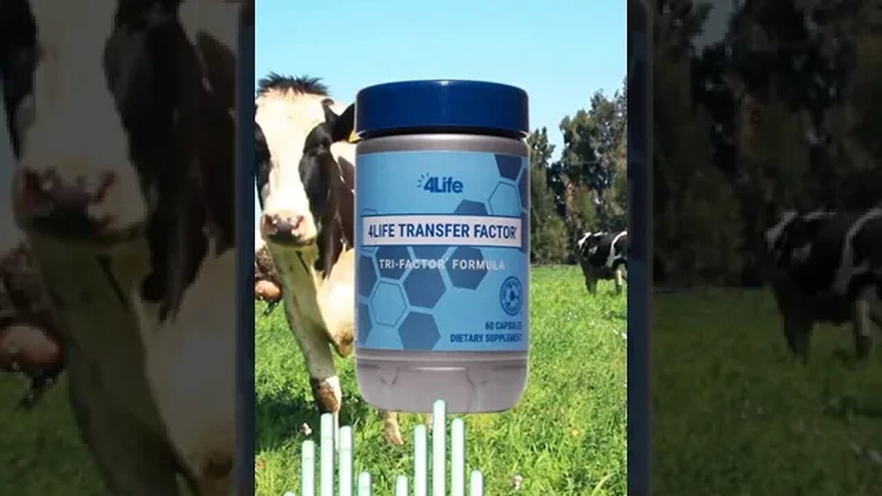 Transfer Factor Tri-Factor balances the immune system