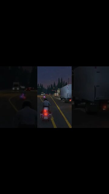 Que bicho foi esse!?