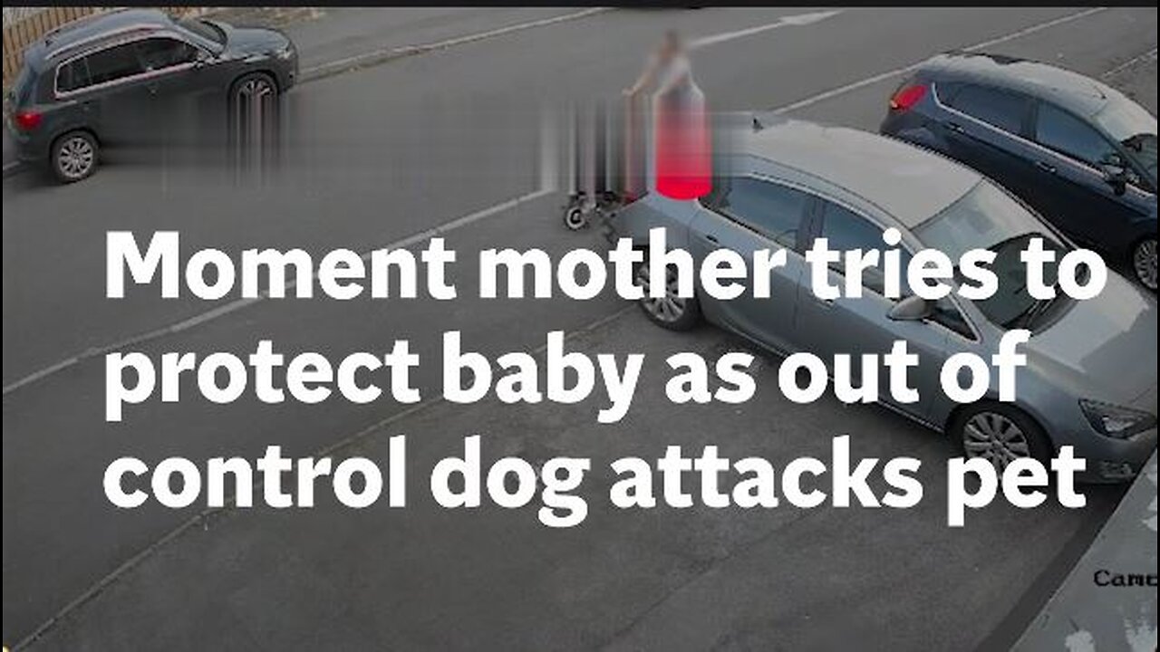 🦸‍♀️ Mom Defends Baby 👶 from Out-of-Control Dog 🐕 Attack on Family Pet 🐾