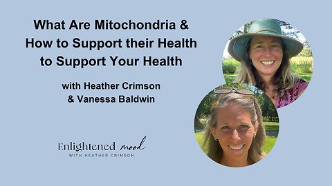 What Are Mitochondria & How to Support their Health to Support Your Health