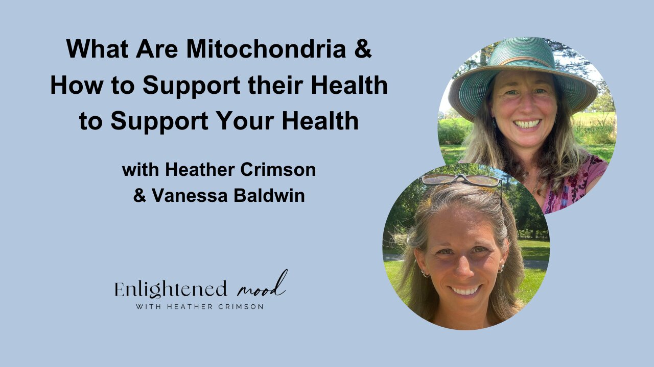 What Are Mitochondria & How to Support their Health to Support Your Health