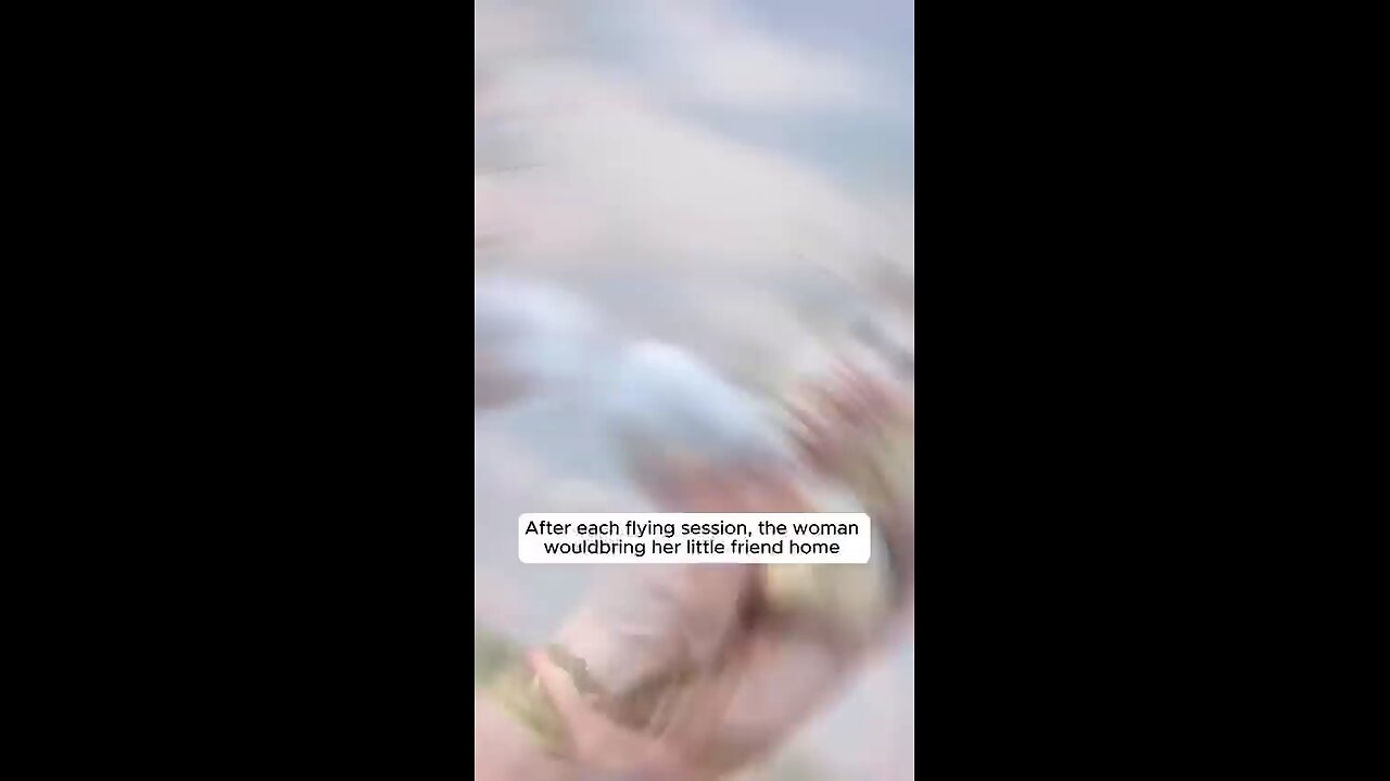 A. woman rescue a baby sugar glider