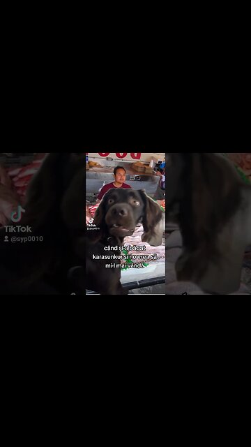 urat mai e cand nu mai vrea sa vanda #caras #jmek #lapiata