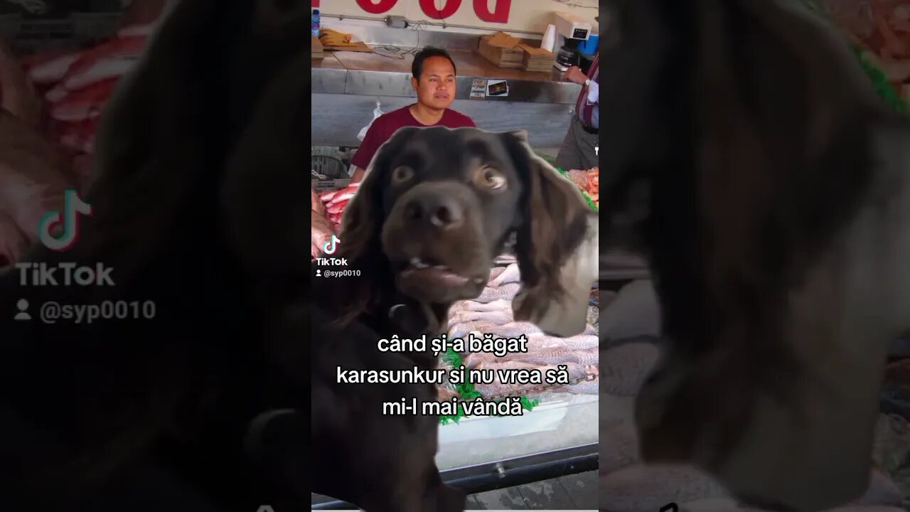 urat mai e cand nu mai vrea sa vanda #caras #jmek #lapiata