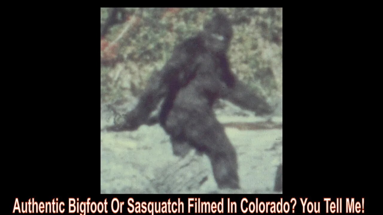 Authentic Bigfoot Or Sasquatch Filmed In Colorado? You Tell Me!