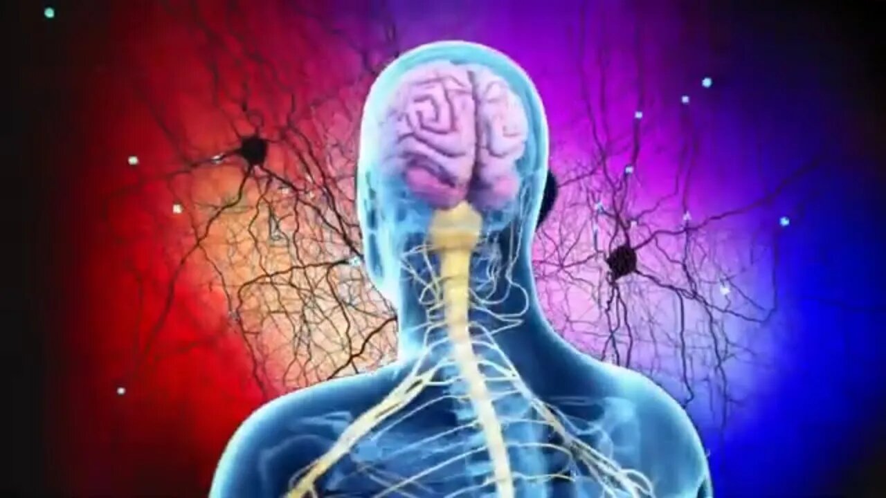 Pineal Gland Activation Heals Your Brain and Boosts Your Memory.