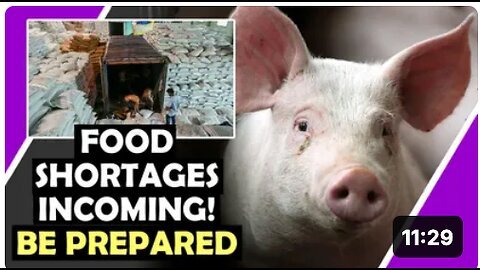 FOOD Shortages INCOMING | GET PREPARED!