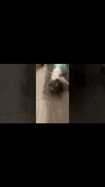 Happy Birthday to Jolynn