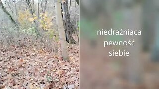 niedrażniąca pewność siebie ...