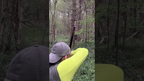888grain Bamboo Arrow Shattered like Carbon After Hitting a Tree #archery