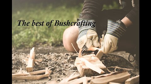 The best of Bushcrafting - Donny Dust TikTok compilation Part 2