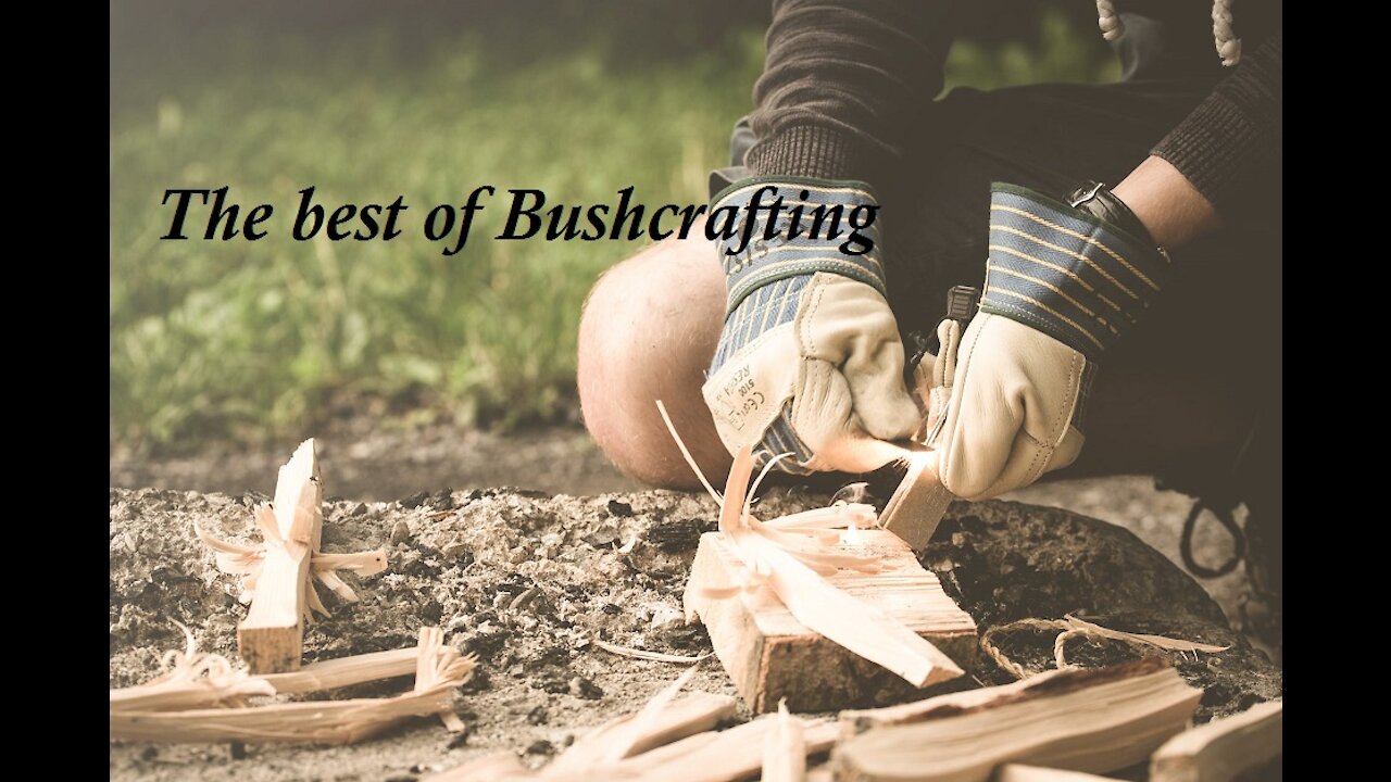The best of Bushcrafting - Donny Dust TikTok compilation Part 2