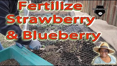 Strawberry & Blueberry Bin Fertilization