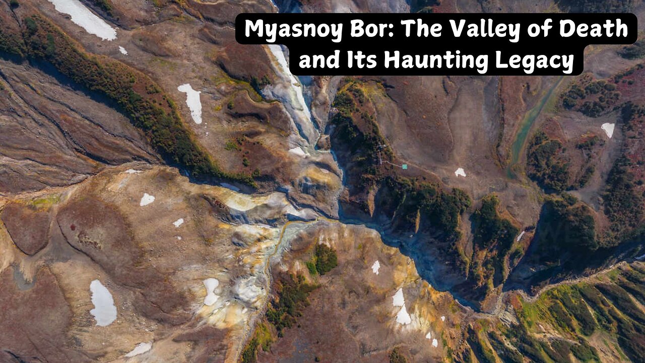 Myasnoy Bor: The Valley of Death and Its Haunting Legacy