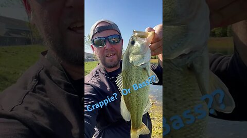 Bass while Crappie Fishing #bass #bassfishing #crappie #crappiefishing #ultralightfishing