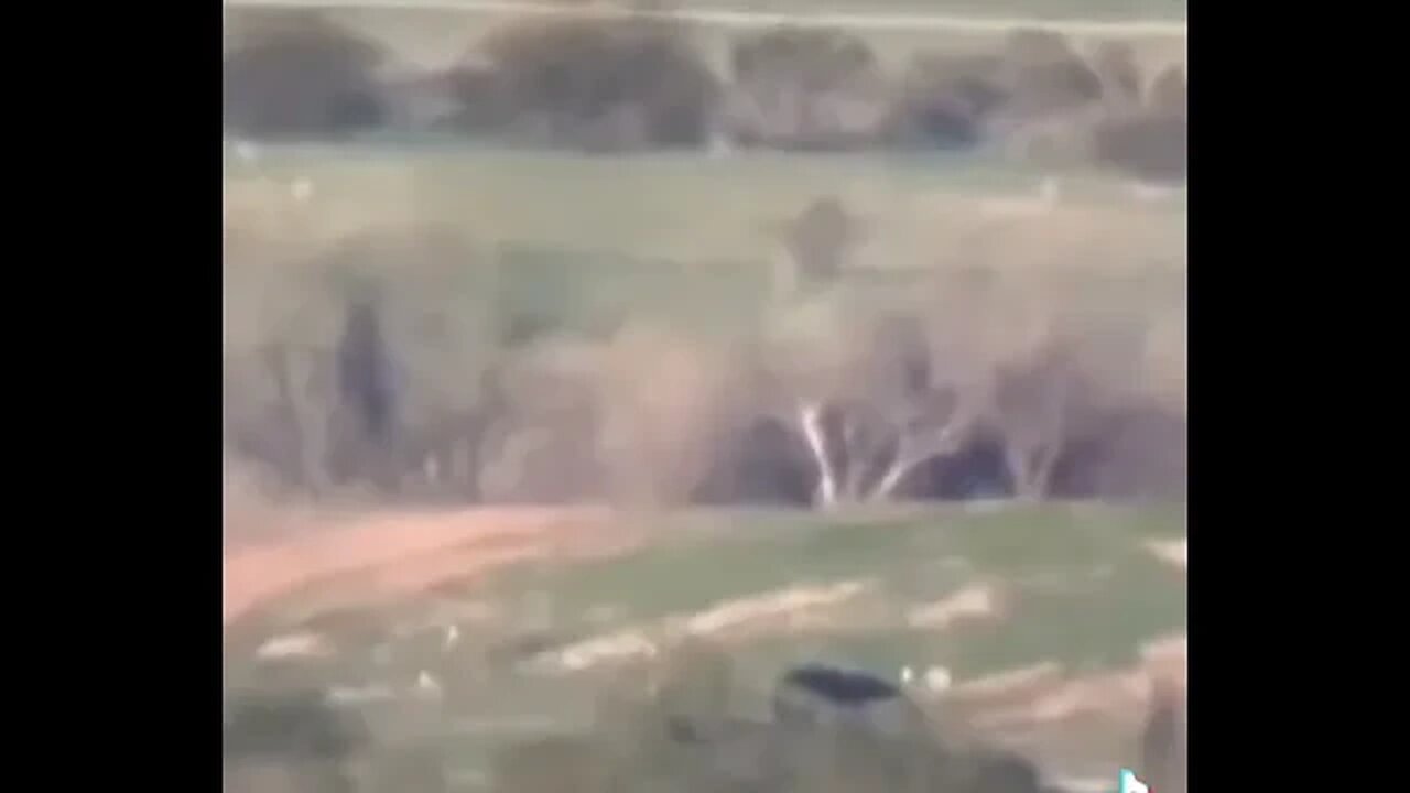 Is that a Skinwalker?