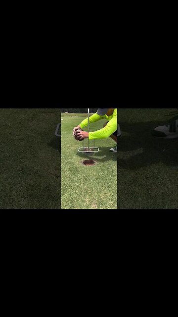 Oddly Satisfying Playlist: Grass