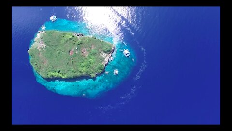 Dolphin Safari- Pescador Island-Moalboal-Philippines