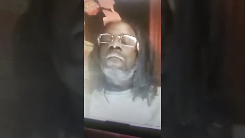 W.A.W.G Kennels Blind Deaf Puppies Born November 23rd 2022