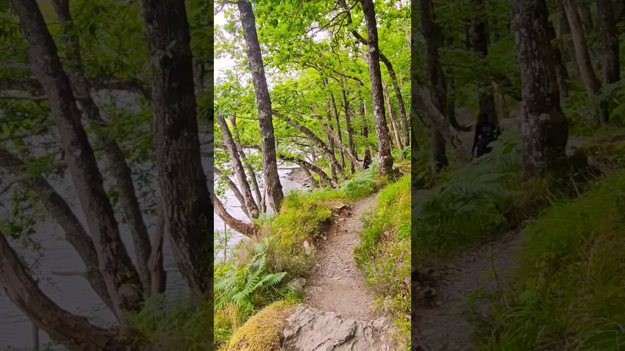 Loch Lomond coastal path on The West Highland Way Scotland