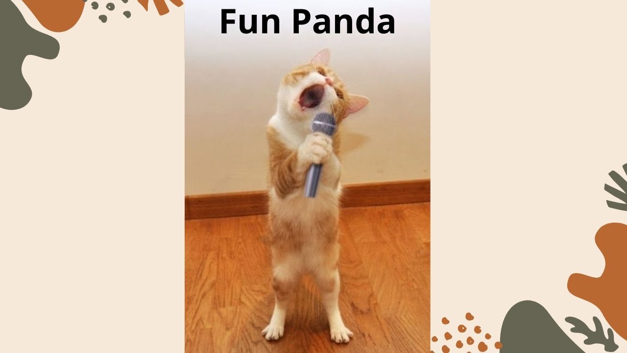 Funniest Cats 😹 Best Cat Singing - Funniest Pets Ever