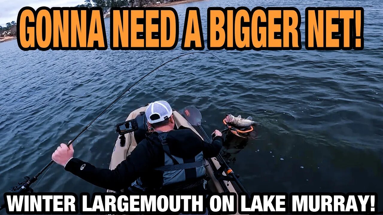Massive Winter Largemouth Bass on Lake Murray!