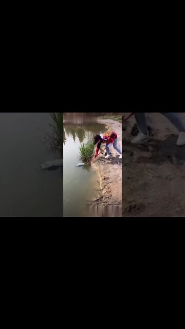 Insane Rural Fishing Video 🐟 Amazing Asian Fishing Technique 🐟 #shorts