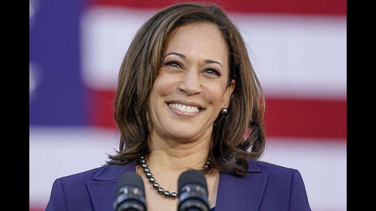 Democratic Party Gives Black Americans, NOTHING ! #KamalaHarris2024 #JimCrowSouth