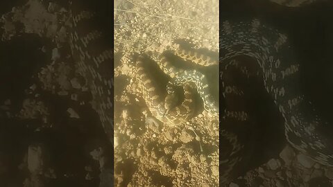 Saturday July/15/2023 Video 3
