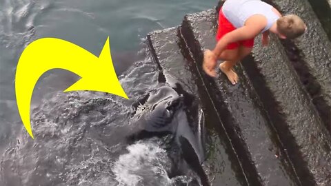 This Boy Was Standing On The Water’s Edge When He Suddenly Felt Something Splash At His Feet