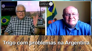 Trigo com problemas na Argentina