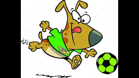 perro futbolero..imperdible