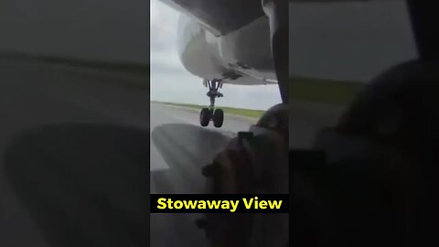 Stowaway View #shorts #short #plane