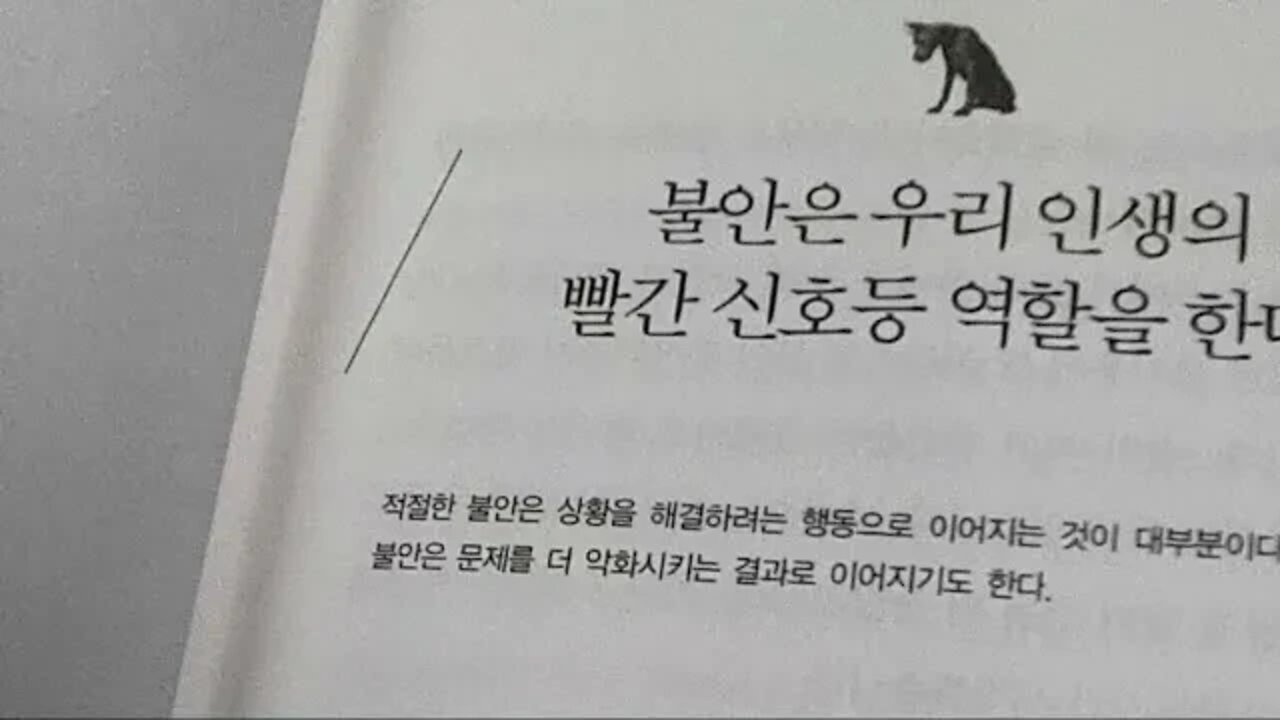 불안버리기, 최주연, 빨간신호등, 골목길, 위험 안전, 불편함, 이로움, 신체증상동반, 재분배,심장,에너지, 공황장애, 막연함, 통제력상실, 위축, 당황, 안전추구행동, 공포감