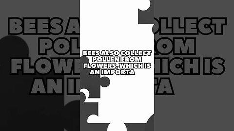 Incredible Random Facts That Will Expand Your Mind! [2023] #shorts #facts #viralshorts #fyp #life