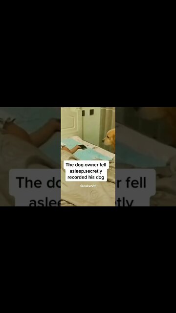 Brilliant how caring ❤️❤️ sweetest dog #dog #doglover